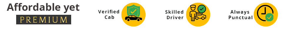 search banner